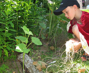 boy gardens