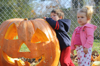 pumpkin fun