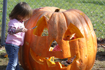 pumpkin fun