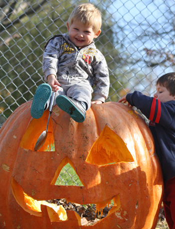 pumpkin fun
